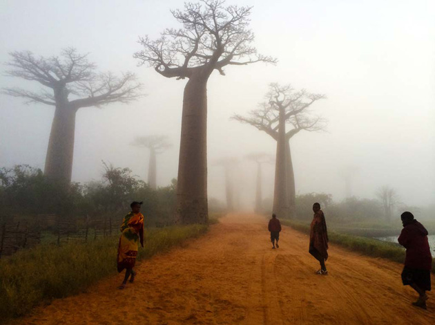 An image of Madagascar taken by Arizona Coordinator Matt Cohen